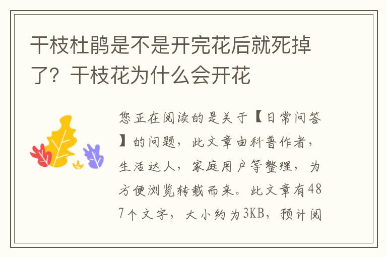 干枝杜鹃是不是开完花后就死掉了？干枝花为什么会开花