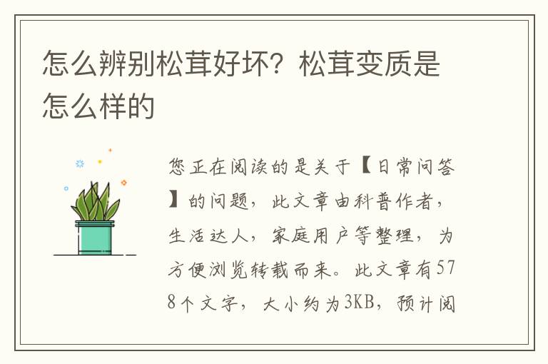怎么辨别松茸好坏？松茸变质是怎么样的