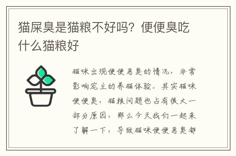 猫屎臭是猫粮不好吗？便便臭吃什么猫粮好