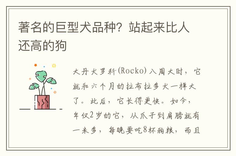 著名的巨型犬品种？站起来比人还高的狗