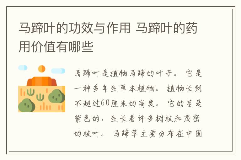 马蹄叶的功效与作用 马蹄叶的药用价值有哪些