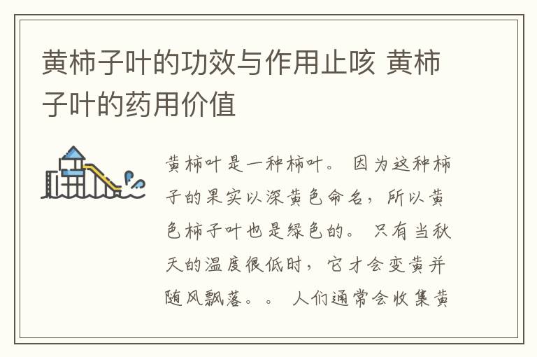 黄柿子叶的功效与作用止咳 黄柿子叶的药用价值