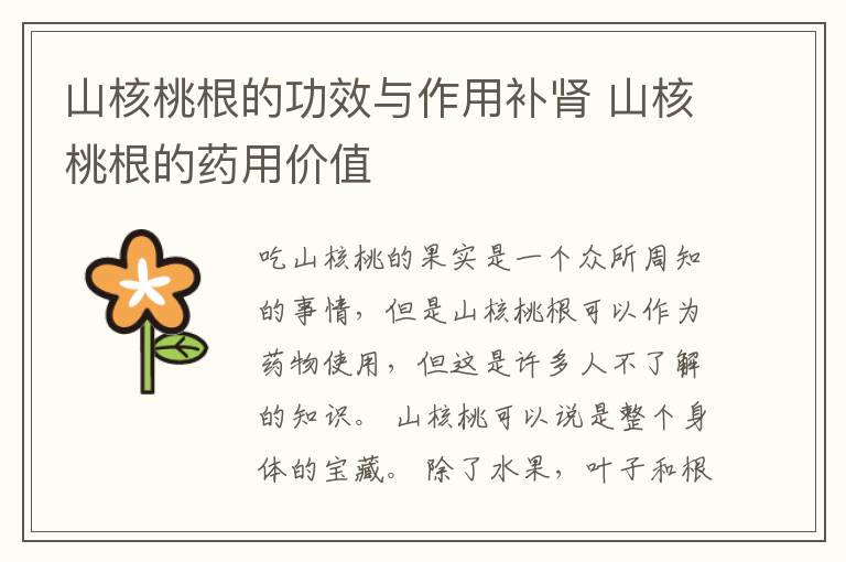 山核桃根的功效与作用补肾 山核桃根的药用价值