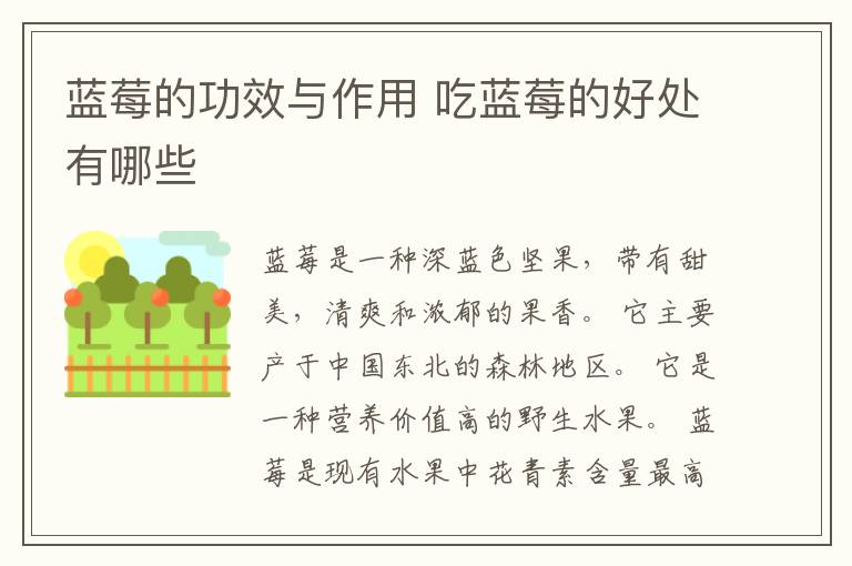 蓝莓的功效与作用 吃蓝莓的好处有哪些