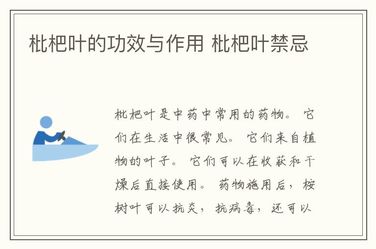 枇杷叶的功效与作用 枇杷叶禁忌