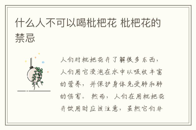 什么人不可以喝枇杷花 枇杷花的禁忌