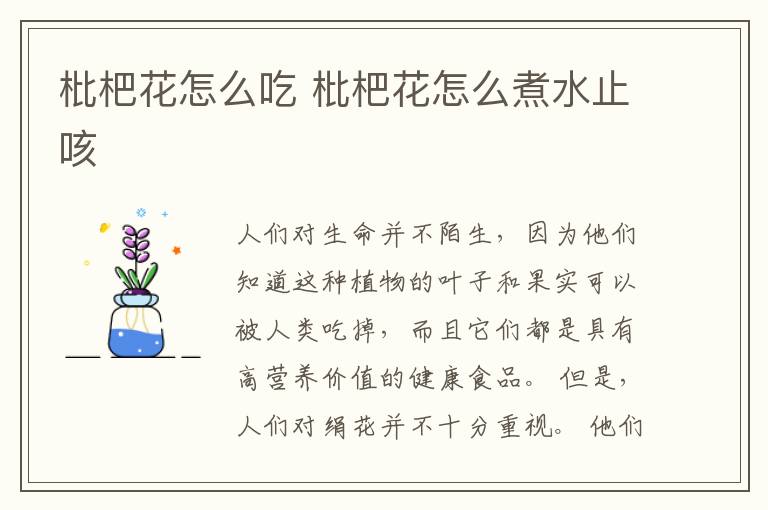 枇杷花怎么吃 枇杷花怎么煮水止咳
