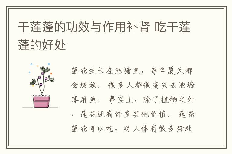 干莲蓬的功效与作用补肾 吃干莲蓬的好处