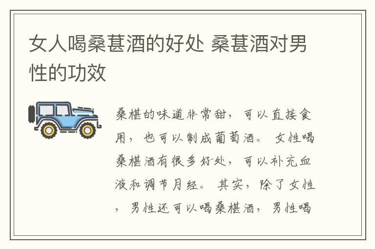 女人喝桑葚酒的好处 桑葚酒对男性的功效