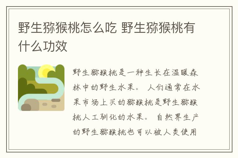 野生猕猴桃怎么吃 野生猕猴桃有什么功效