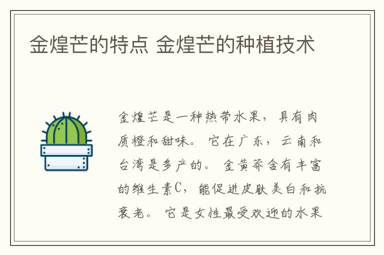 金煌芒的特点 金煌芒的种植技术