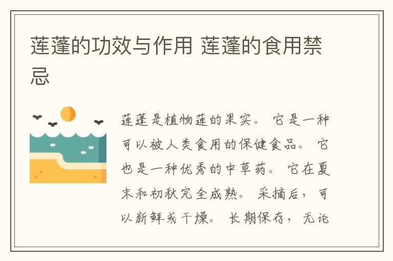 莲蓬的功效与作用 莲蓬的食用禁忌