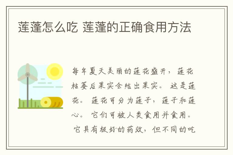 莲蓬怎么吃 莲蓬的正确食用方法