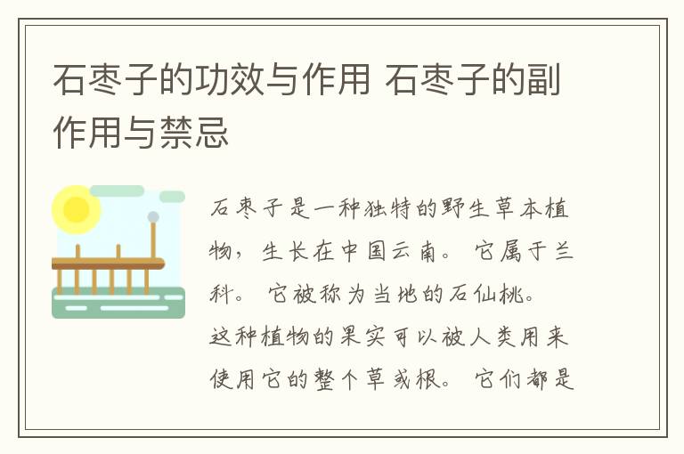石枣子的功效与作用 石枣子的副作用与禁忌