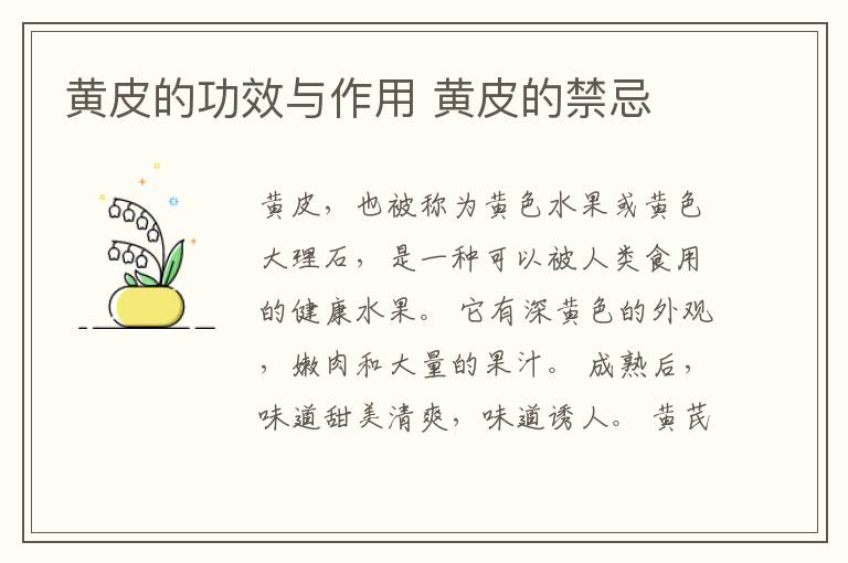 黄皮的功效与作用 黄皮的禁忌