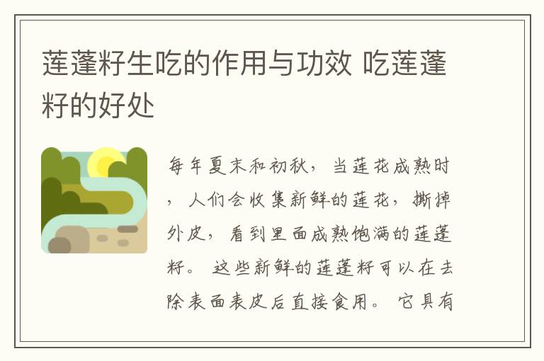 莲蓬籽生吃的作用与功效 吃莲蓬籽的好处