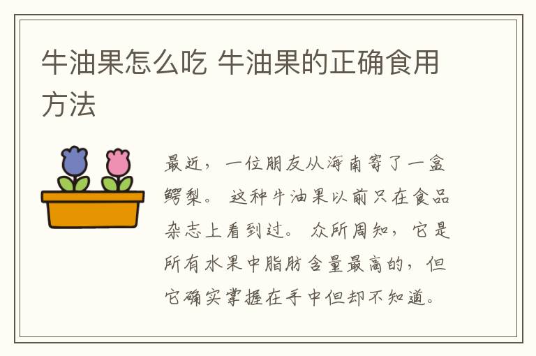 牛油果怎么吃 牛油果的正确食用方法