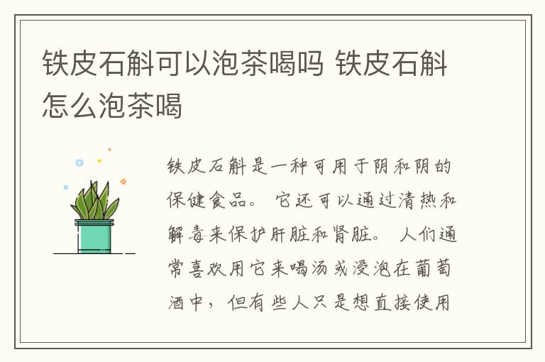 铁皮石斛可以泡茶喝吗 铁皮石斛怎么泡茶喝