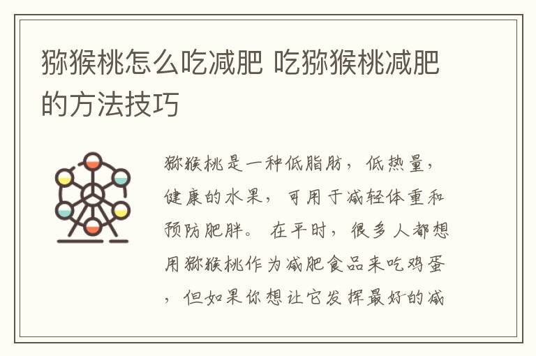猕猴桃怎么吃减肥 吃猕猴桃减肥的方法技巧