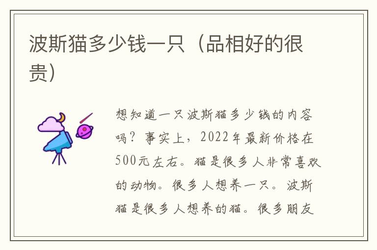 波斯猫多少钱一只（品相好的很贵）