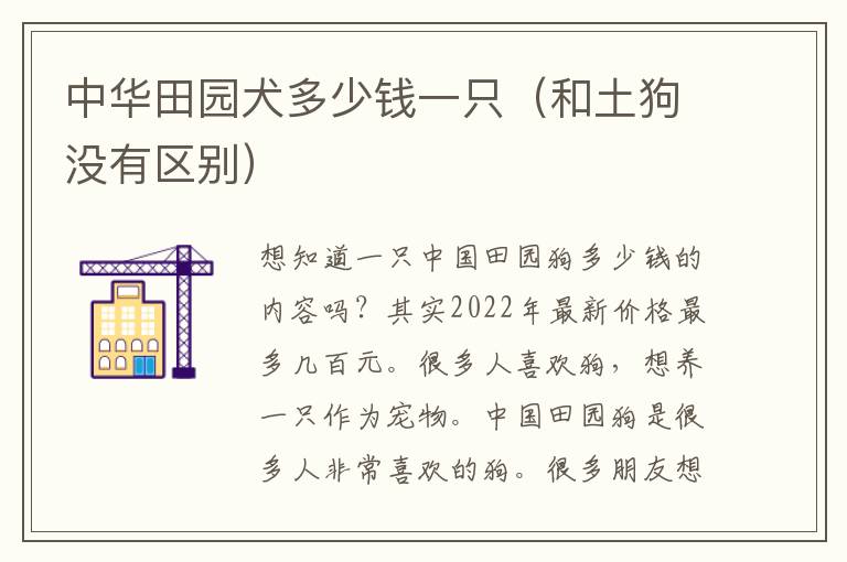 中华田园犬多少钱一只（和土狗没有区别）