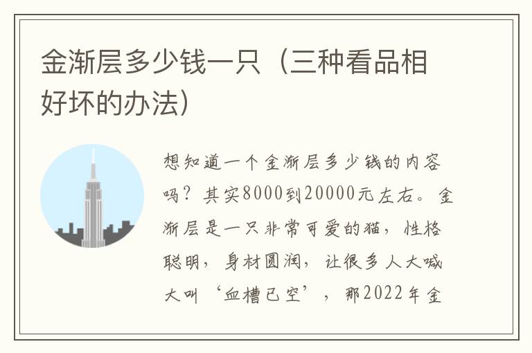 金渐层多少钱一只（三种看品相好坏的办法）