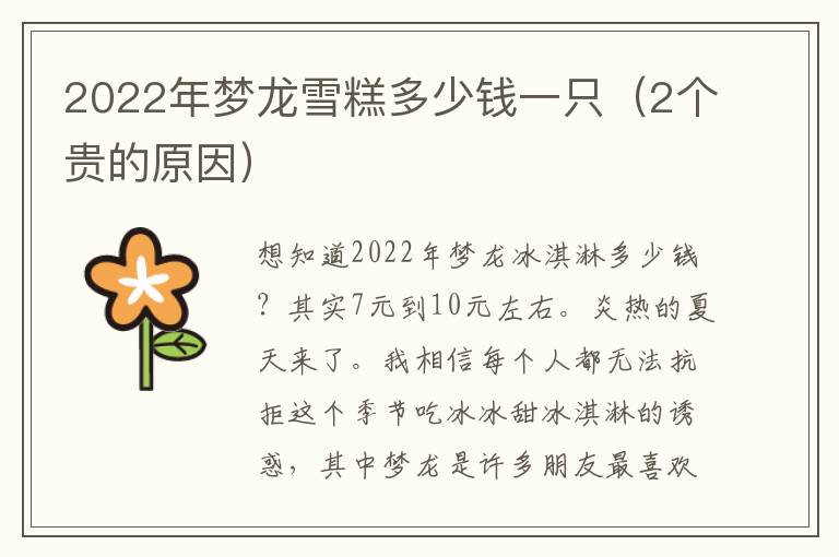 2022年梦龙雪糕多少钱一只（2个贵的