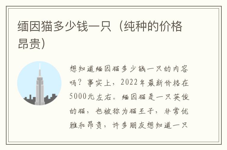 缅因猫多少钱一只（纯种的价格昂贵）