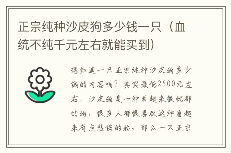 正宗纯种沙皮狗多少钱一只（血统不纯千元左右就能买到）