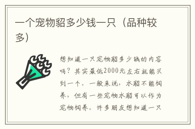 一个宠物貂多少钱一只（品种较多）