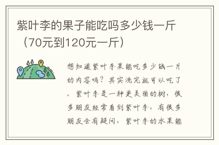 紫叶李的果子能吃吗多少钱一斤（70元到120元一斤）