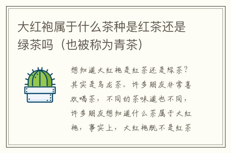 大红袍属于什么茶种是红茶还是绿茶吗（也被称为青茶）
