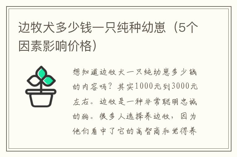 边牧犬多少钱一只纯种幼崽（5个因素影响价格）