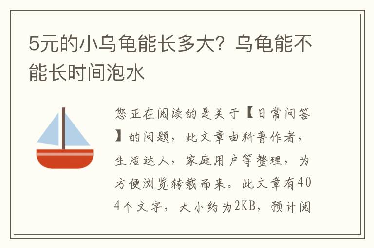 5元的小乌龟能长多大？乌龟能不能长时间泡水