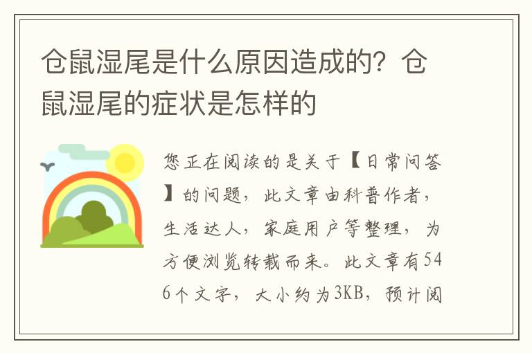 仓鼠湿尾是什么原因造成的？仓鼠湿尾的症状是怎样的