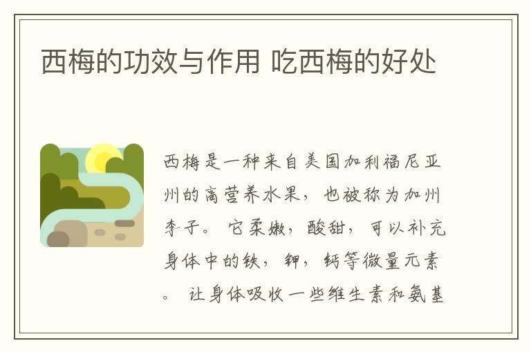 西梅的功效与作用 吃西梅的好处