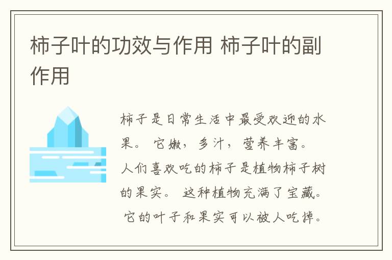 柿子叶的功效与作用 柿子叶的副作用