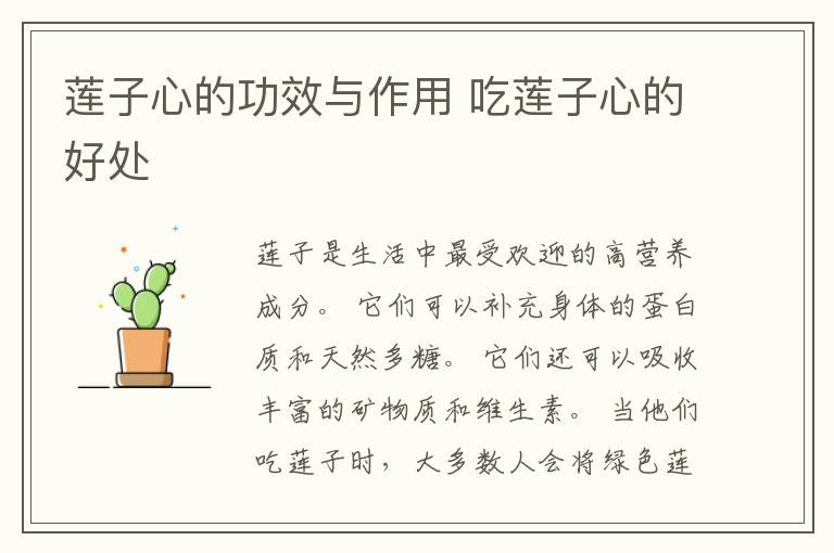 莲子心的功效与作用 吃莲子心的好处
