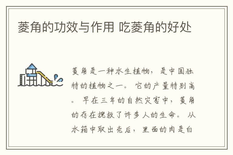 菱角的功效与作用 吃菱角的好处