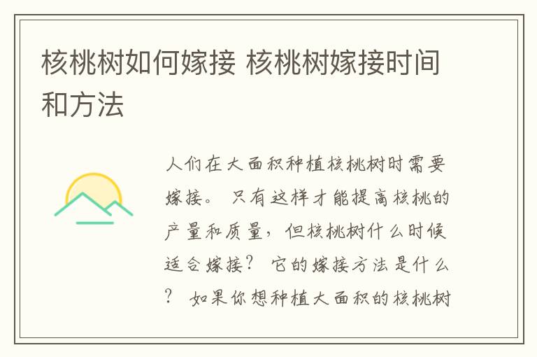 核桃树如何嫁接 核桃树嫁接时间和方法