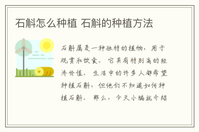 石斛怎么种植 石斛的种植方法