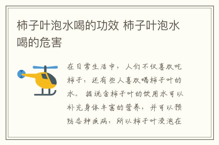 柿子叶泡水喝的功效 柿子叶泡水喝的危害