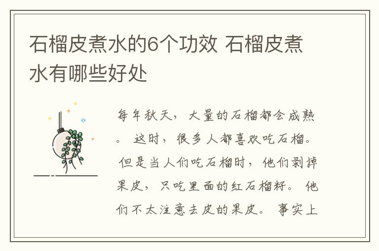 石榴皮煮水的6个功效 石榴皮煮水有哪些好处