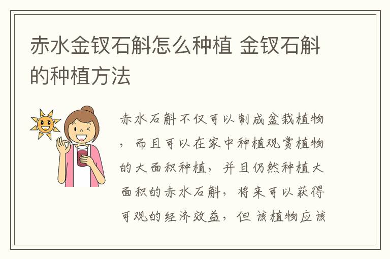 赤水金钗石斛怎么种植 金钗石斛的种植方法
