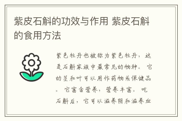 紫皮石斛的功效与作用 紫皮石斛的食用方法