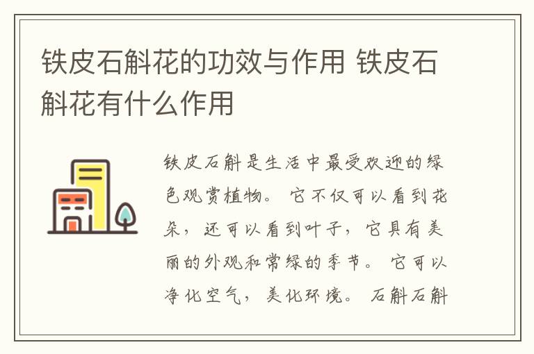 铁皮石斛花的功效与作用 铁皮石斛花有什么作用