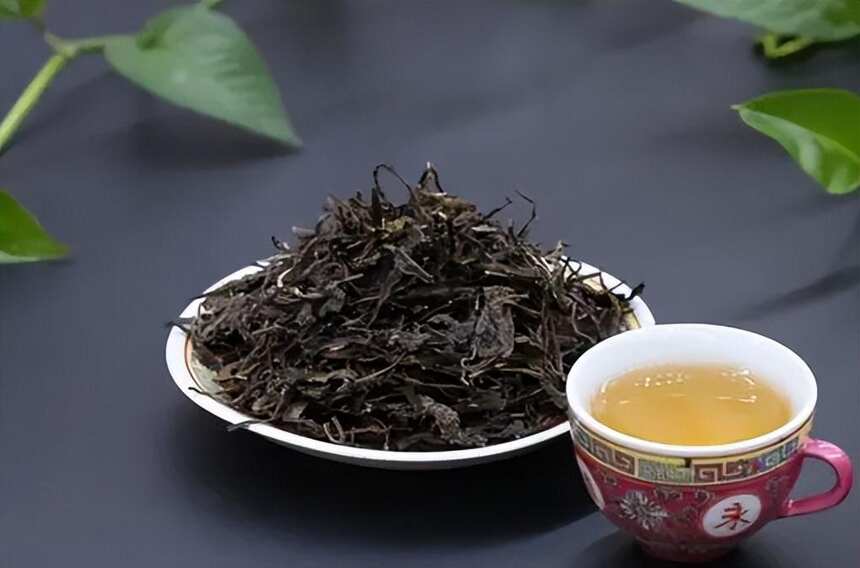 普洱茶生茶和熟茶哪个好（普洱茶生茶和熟茶哪个好收藏）