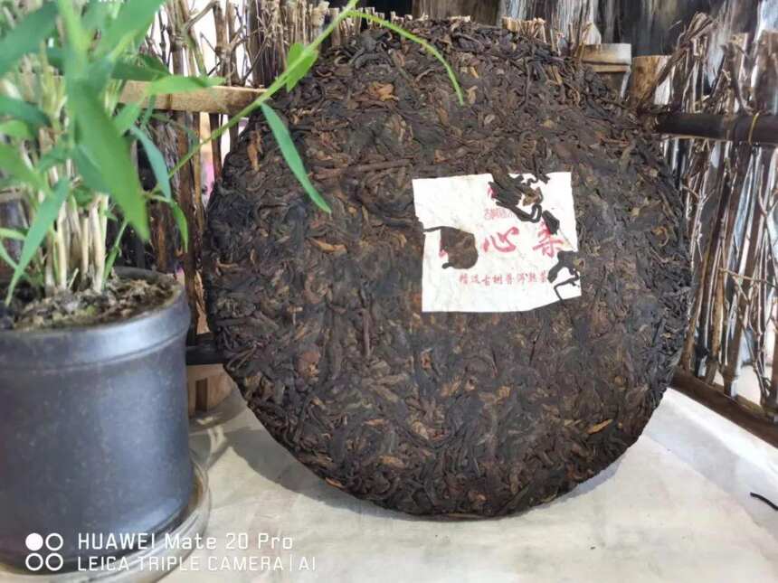普洱生茶、熟茶如何选？（普洱生茶和熟茶）