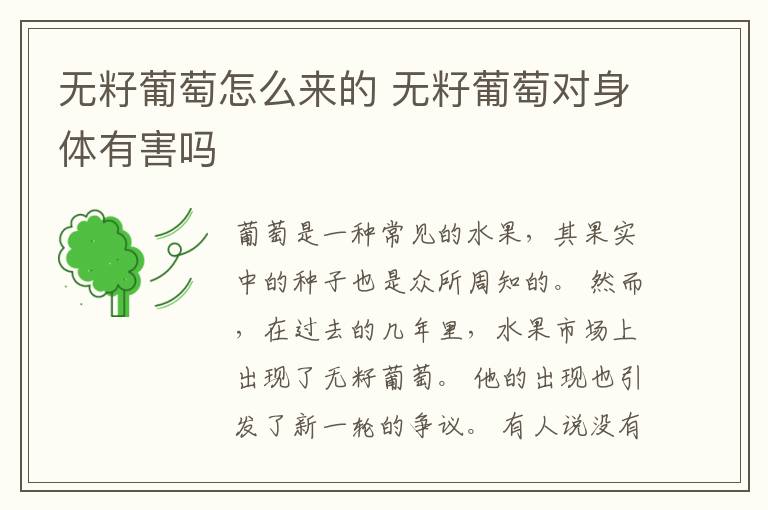 无籽葡萄怎么来的 无籽葡萄对身体有害吗