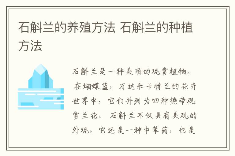 石斛兰的养殖方法 石斛兰的种植方法